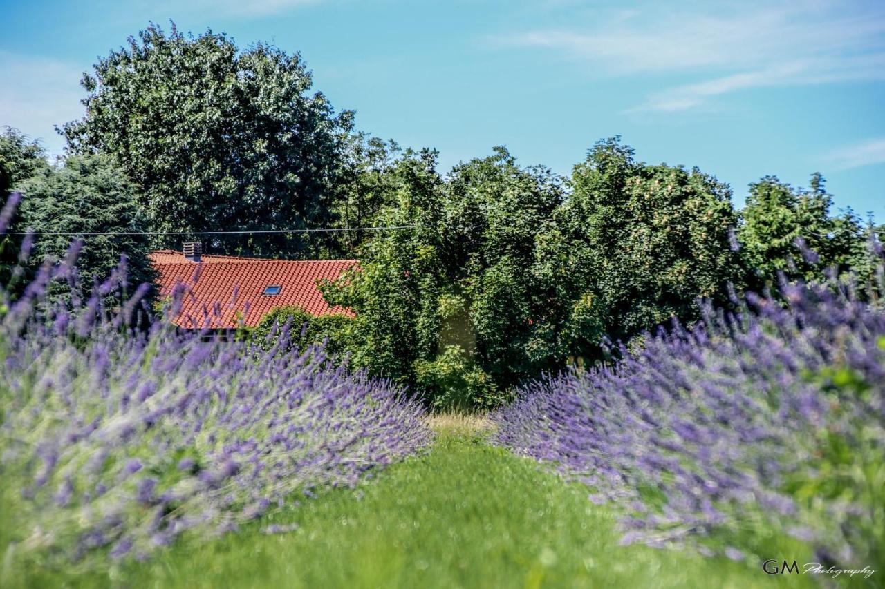 Azienda Agricola La Macina Bregnano Bagian luar foto